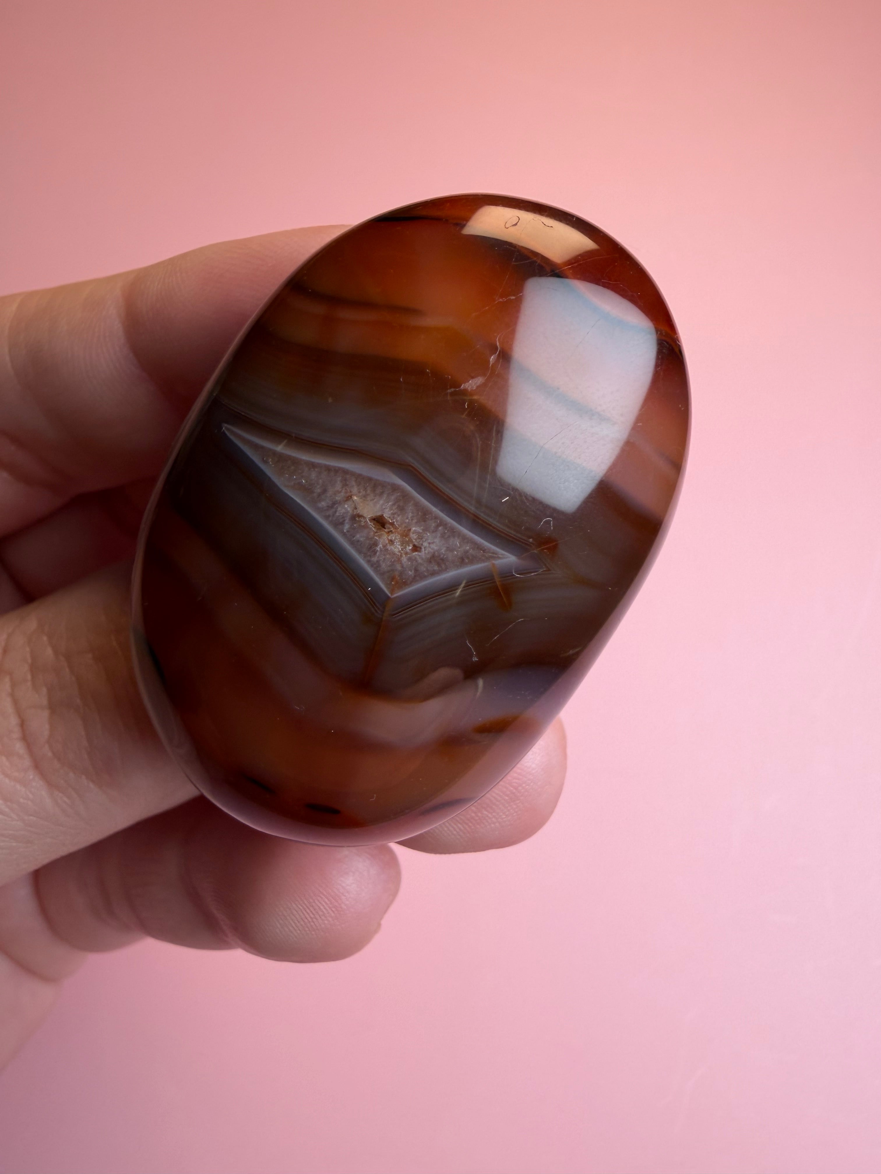 Carnelian Palm