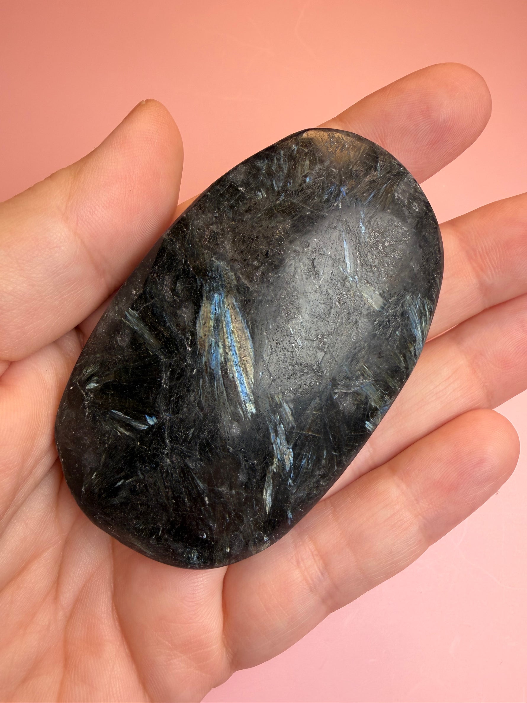 Astrophyllite Palm