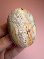 Crazy Lace Agate Palm