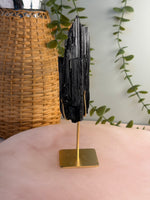Black Tourmaline with custom stand