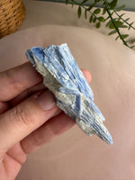 Blue Kyanite