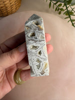 Crazy Lace Agate Tower