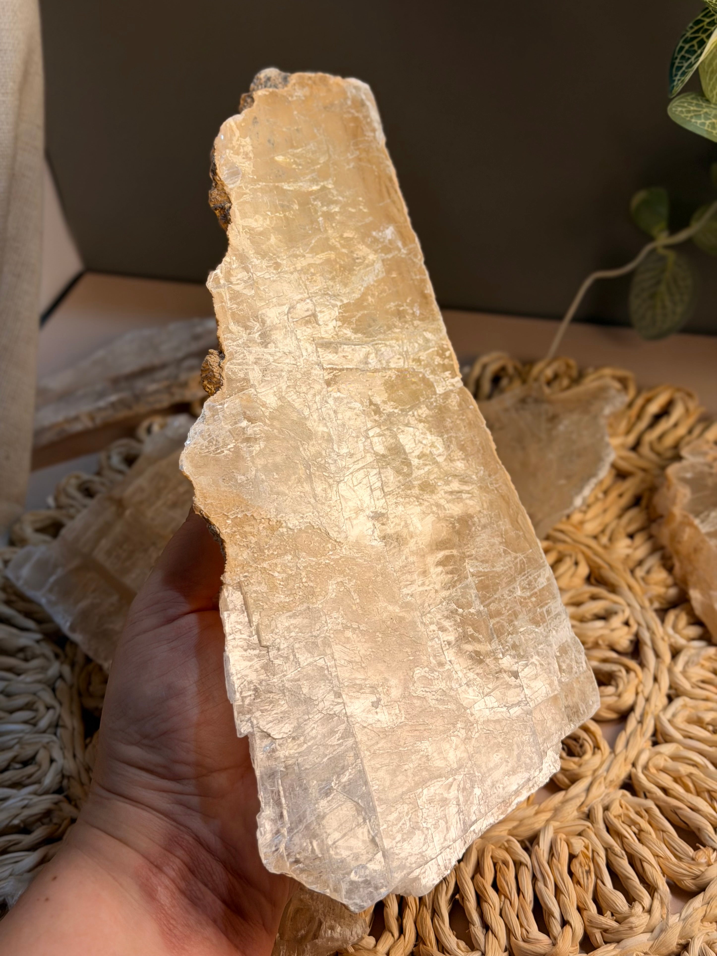 Image alt