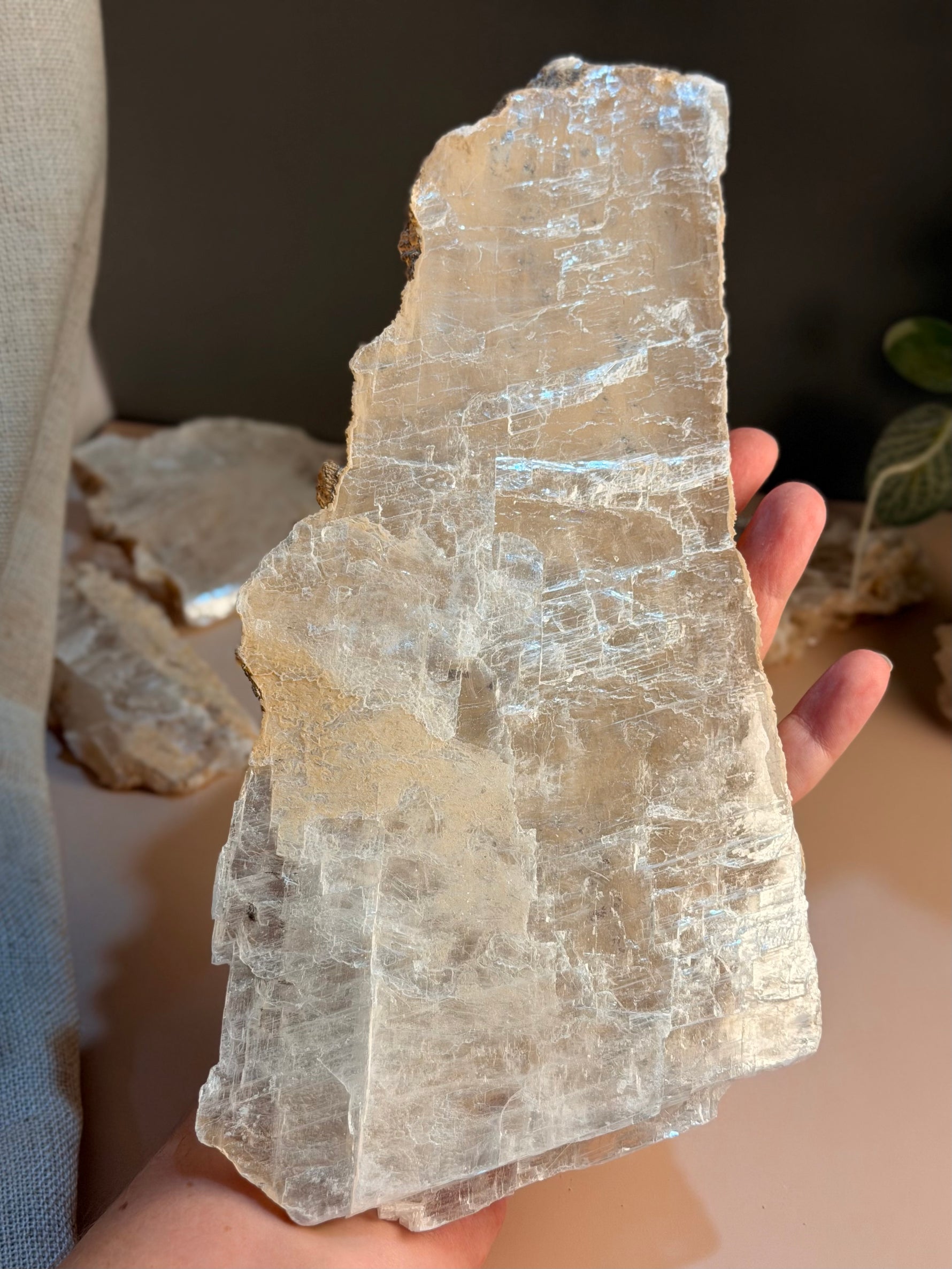 Raw Selenite Slabs