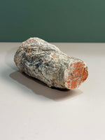 Petrified Wood Log