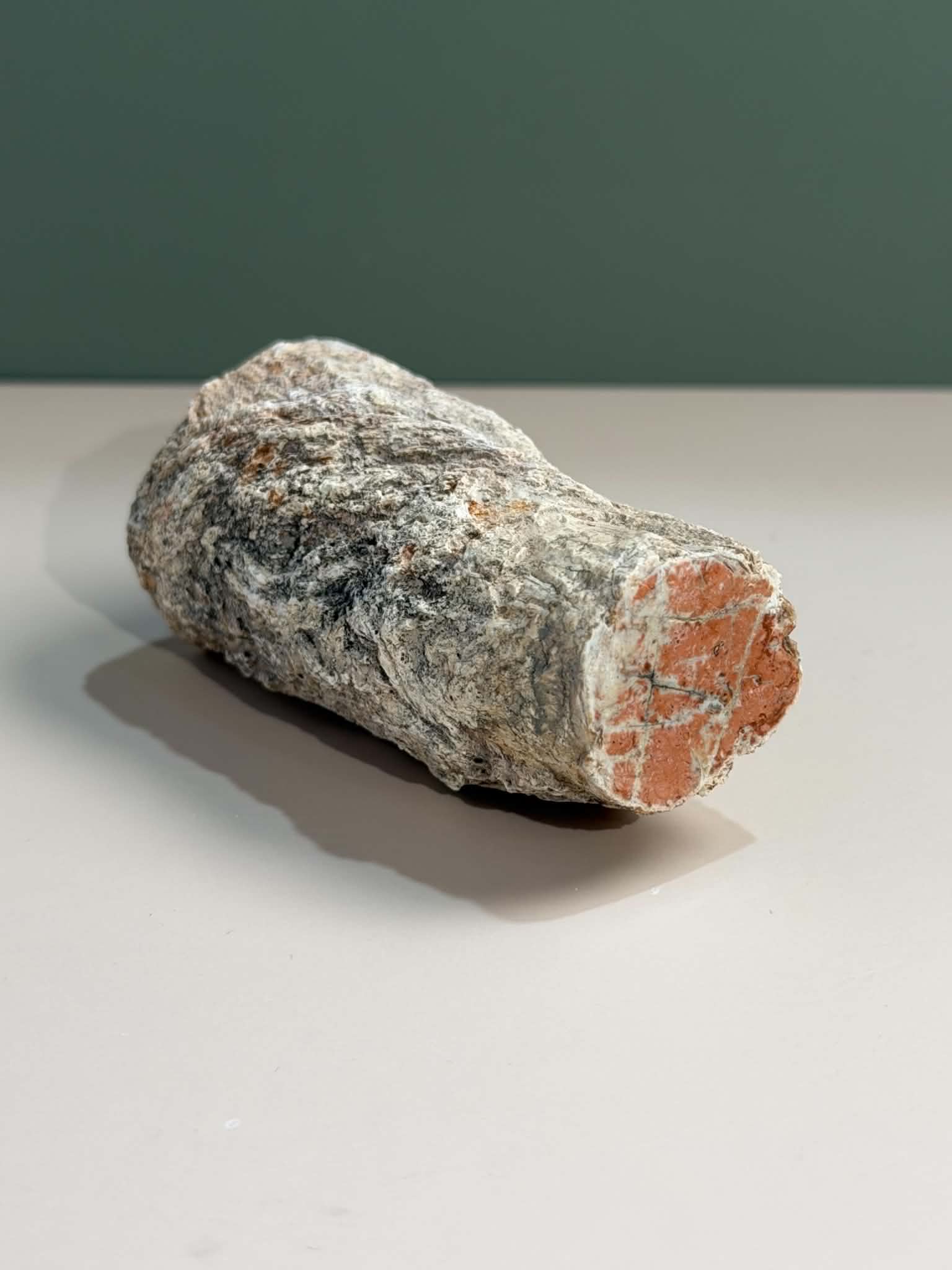 Petrified Wood Log