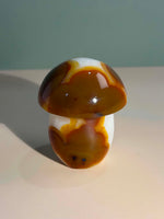 Carnelian Mushroom