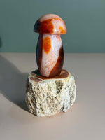 Carnelian Mushroom