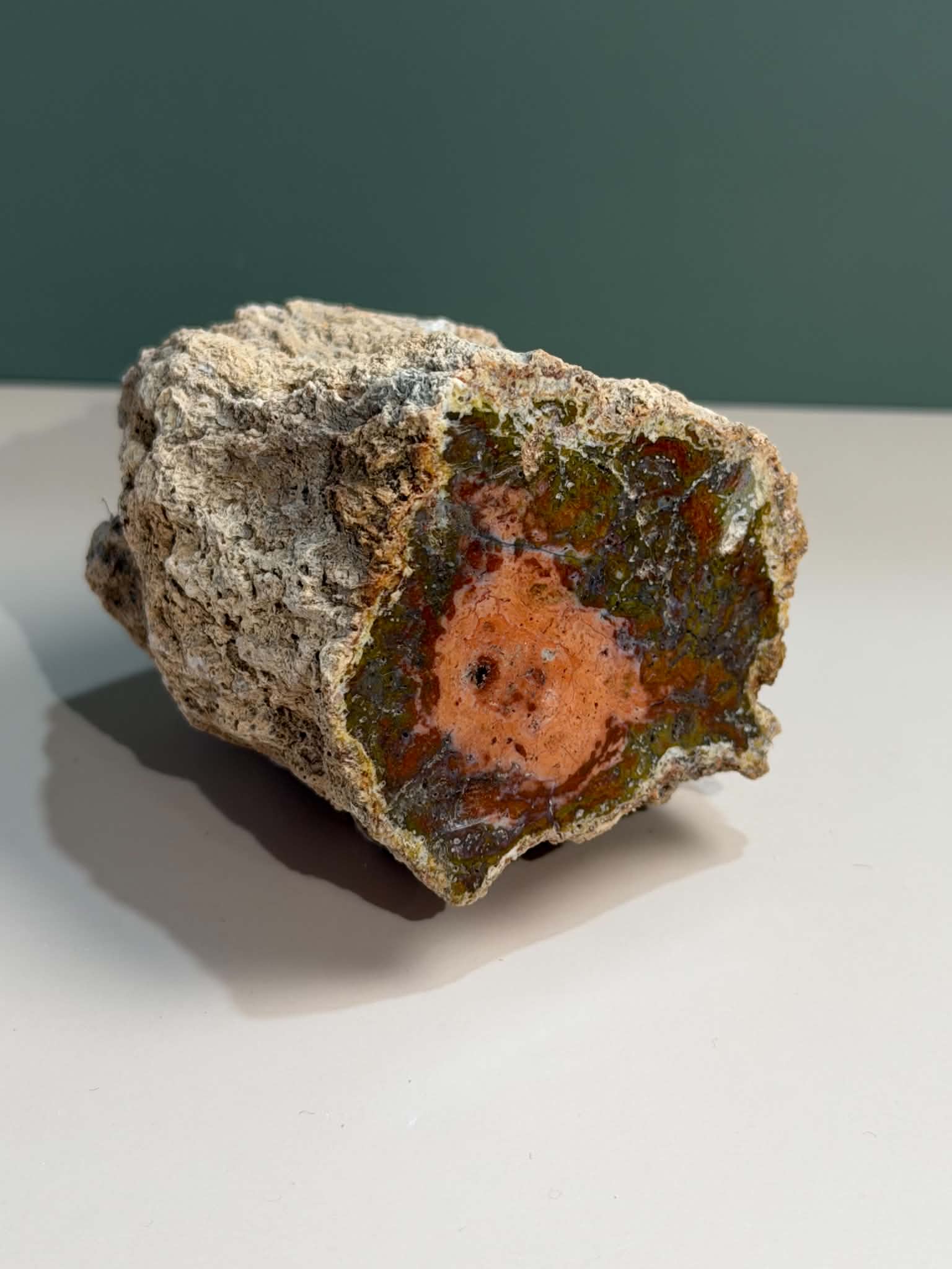 Petrified Wood Log