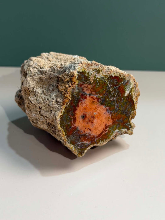 Petrified Wood Log