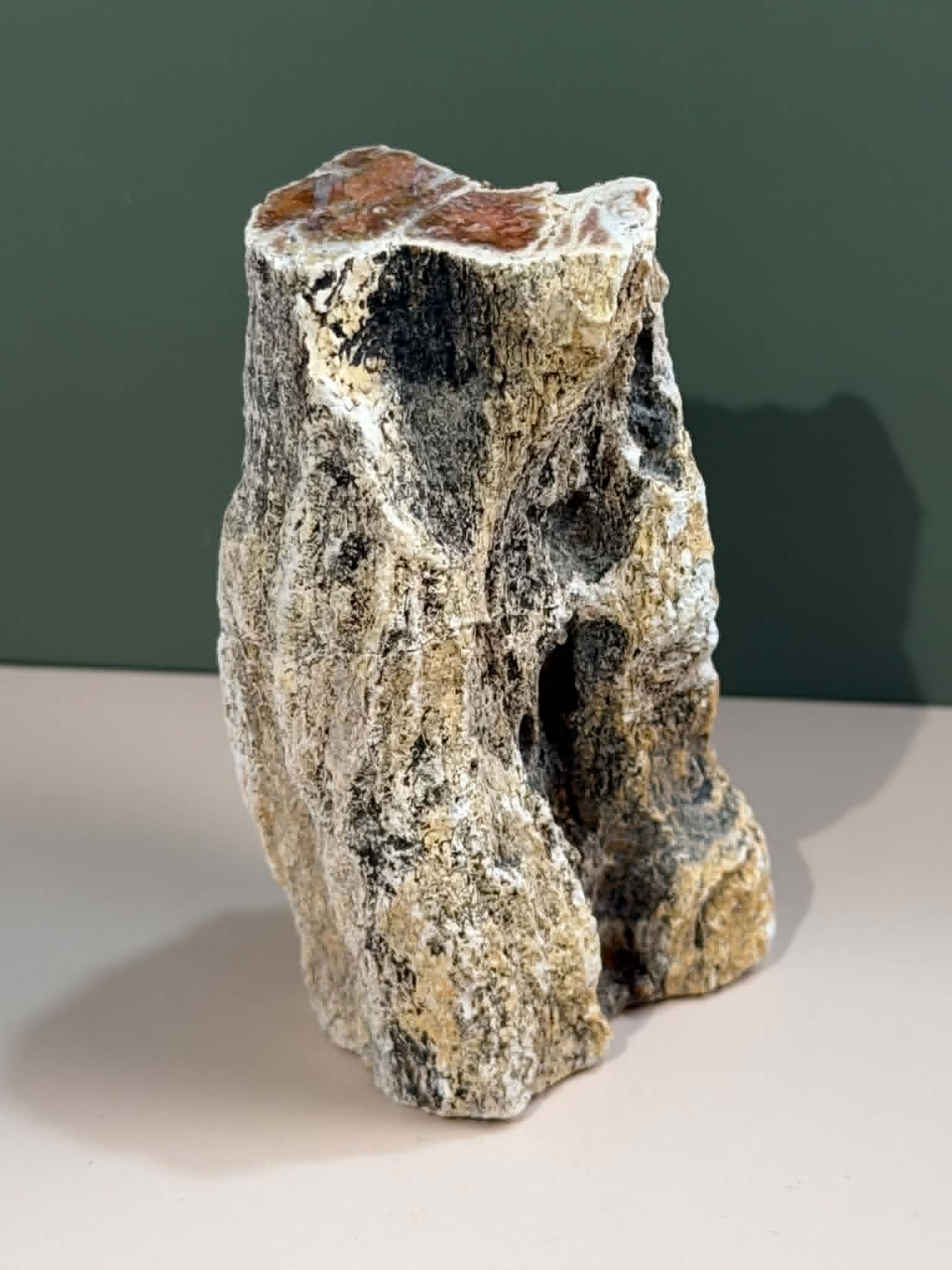 Petrified Wood Log