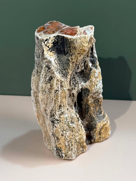 Petrified Wood Log