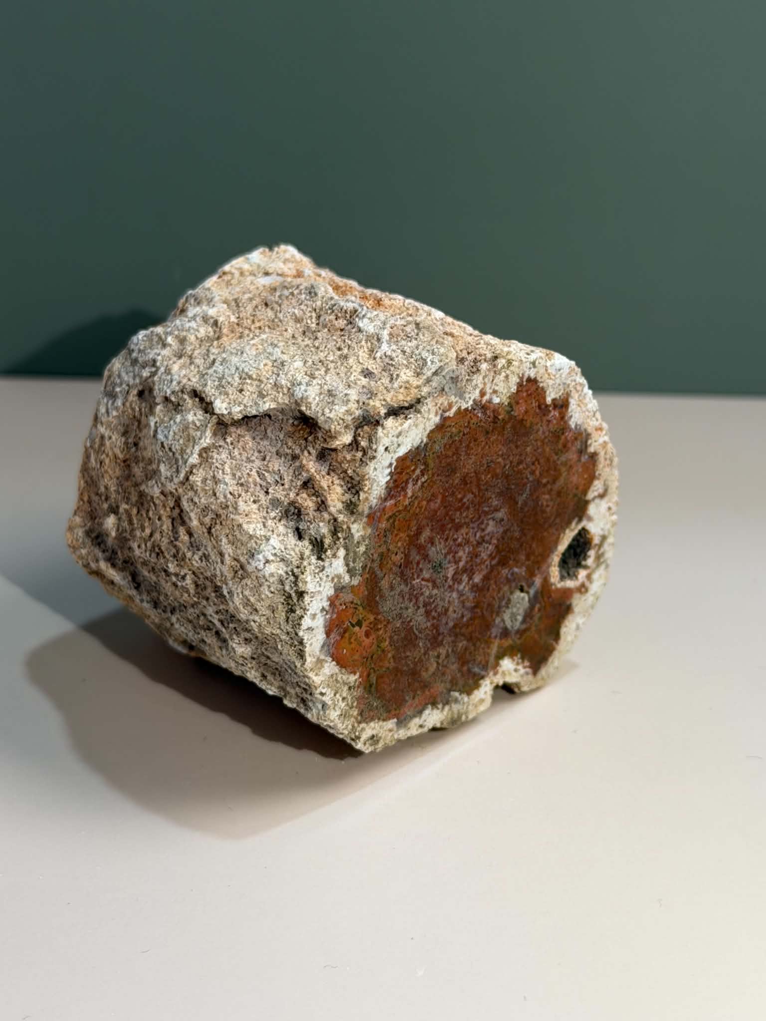 Petrified Wood Log