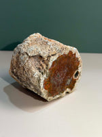 Petrified Wood Log