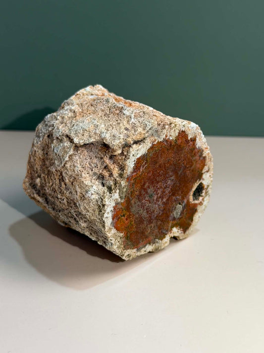 Petrified Wood Log