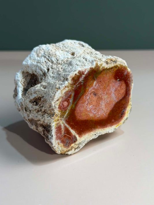 Petrified Wood Log