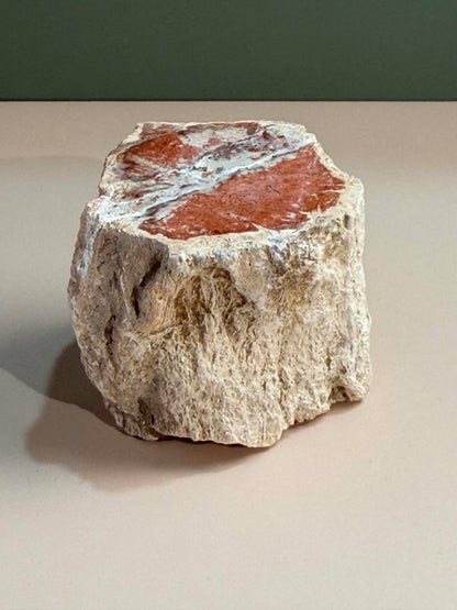 Petrified Wood Log
