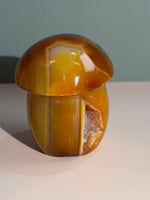 Carnelian Mushroom
