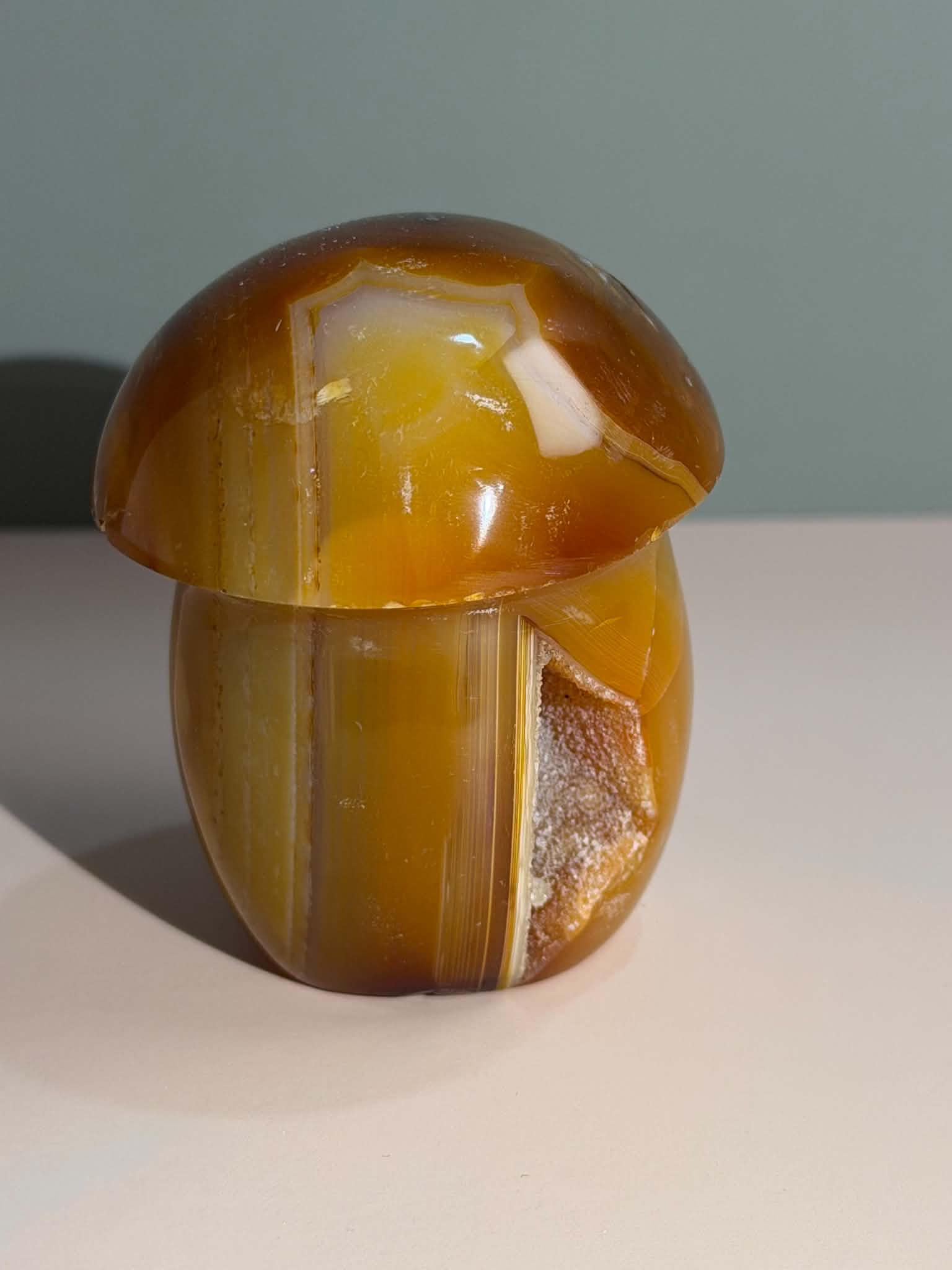 Carnelian Mushroom