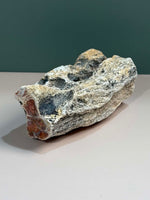 Petrified Wood Log