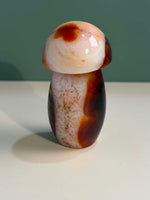 Carnelian Mushroom