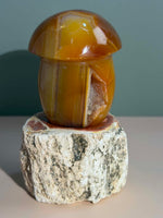 Carnelian Mushroom