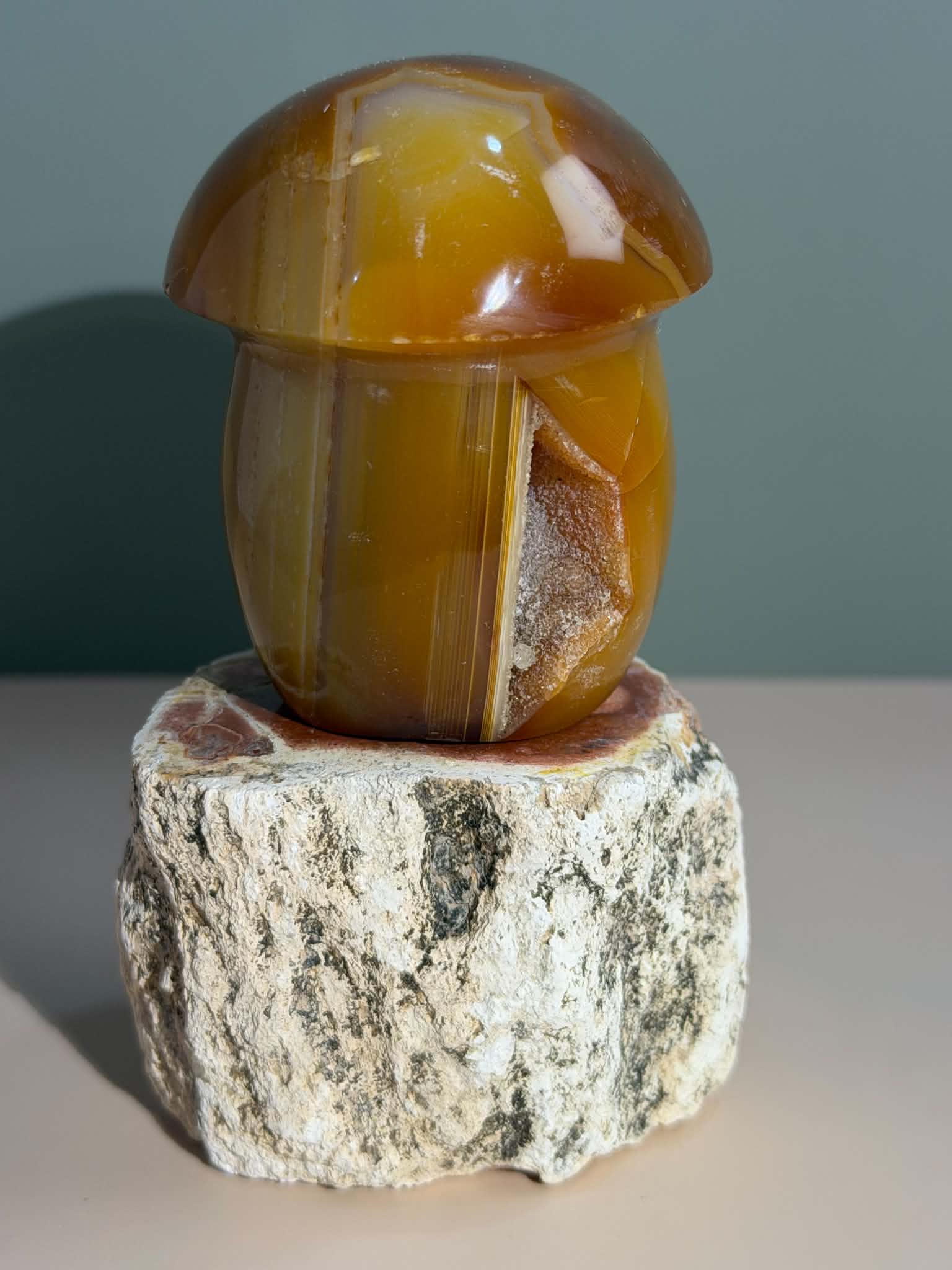 Carnelian Mushroom