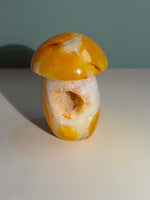 Carnelian Mushroom