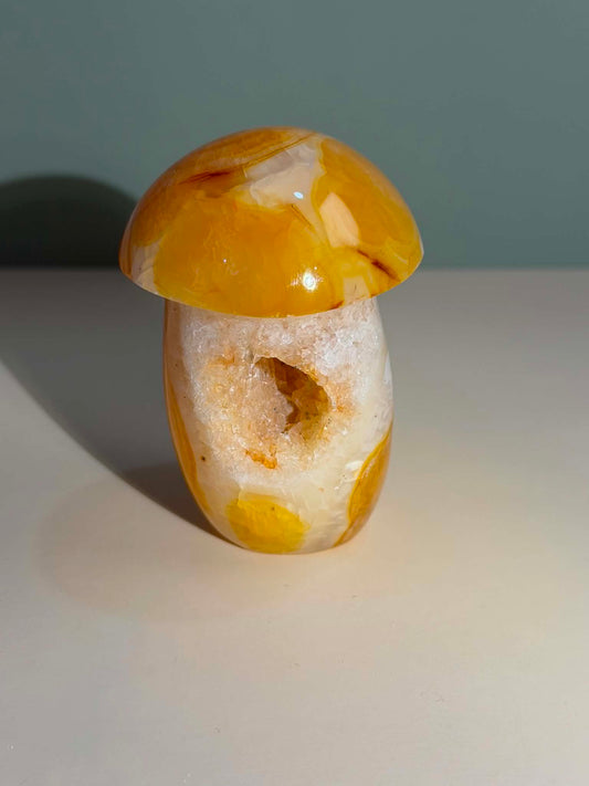 Carnelian Mushroom