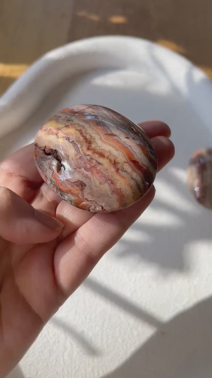 Crazy Lace Agate Palm