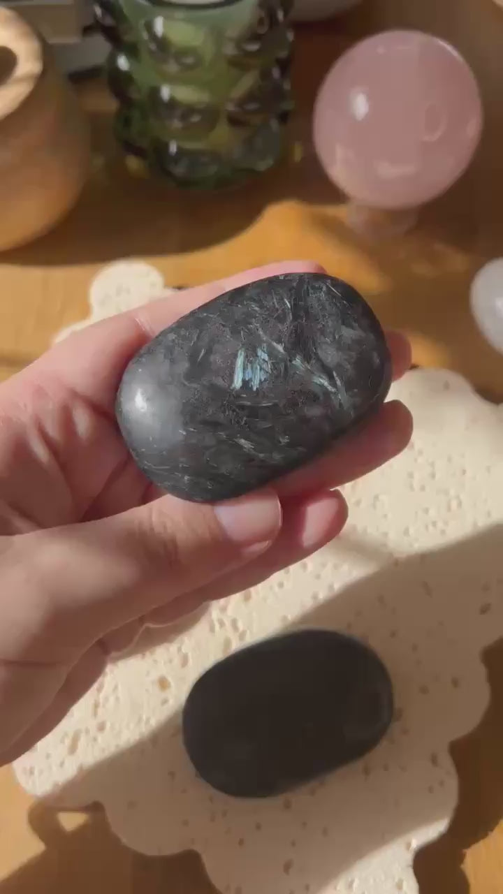 Astrophyllite Palm